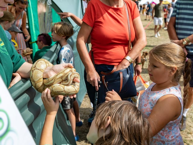 Meeting the inhabitants of the reptile house at The Emsworth Show