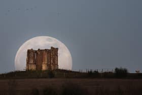 Towering Super Moon by Richard Murray
Celestial beauty of Dark Night Skies captured in National Park's astrophotography contest