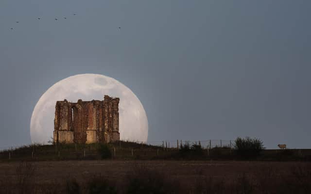 Towering Super Moon by Richard Murray
Celestial beauty of Dark Night Skies captured in National Park's astrophotography contest