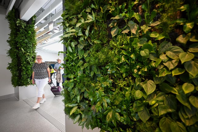Passengers arrive past the living green wall at the new terminal