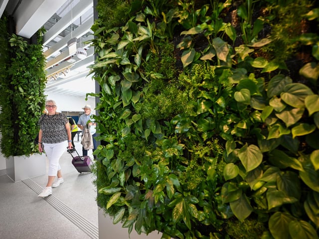 Passengers arrive past the living green wall at the new terminal