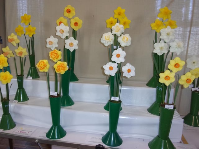 Championship Quality Blooms