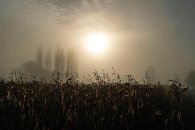 The Met Office has issued a yellow weather warning for fog across parts of Hampshire this morning. Picture: Christopher Furlong/Getty Images.