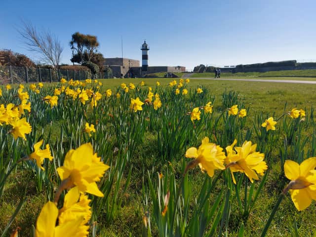 Spring in Southsea on March 19, 2022.