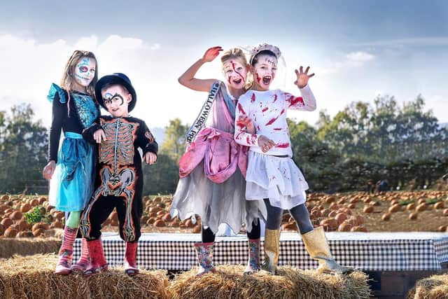 Children enjoying Rogate Pumpkin Patch. Picture by Sarah Sheldrake