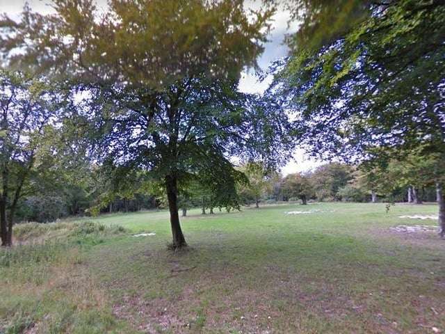 Some of the walks that people can take their dog on in Portsmouth and the surrounding area