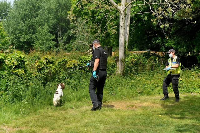 Police searching Staunton Country Park. Picture: Sarah Standing (170520-8643)