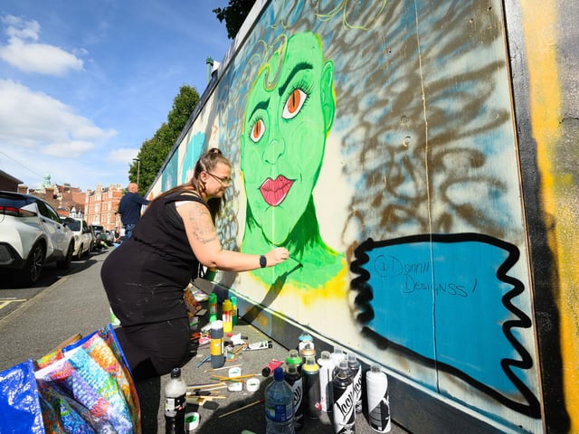 Pictured is: Dannii Designs work. One of many artists at wok in Wiltshire Street and Meridian Road
Picture: Keith Woodland (140921-77)