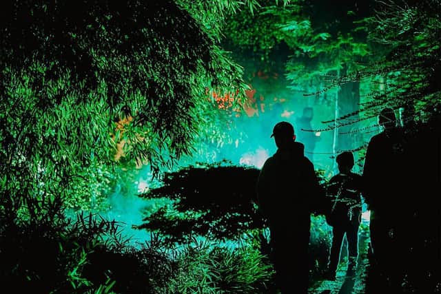 Halloween at Moors Valley