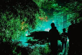 Halloween at Moors Valley