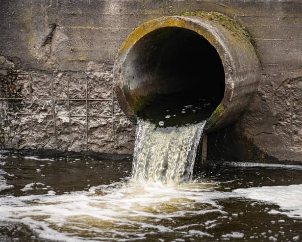 Surfers Against Sewage have called a recent Southern Water spill in Chichester an "assault on the environment".