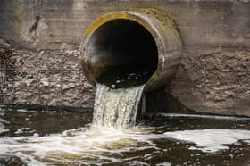 Surfers Against Sewage have called a recent Southern Water spill in Chichester an "assault on the environment".