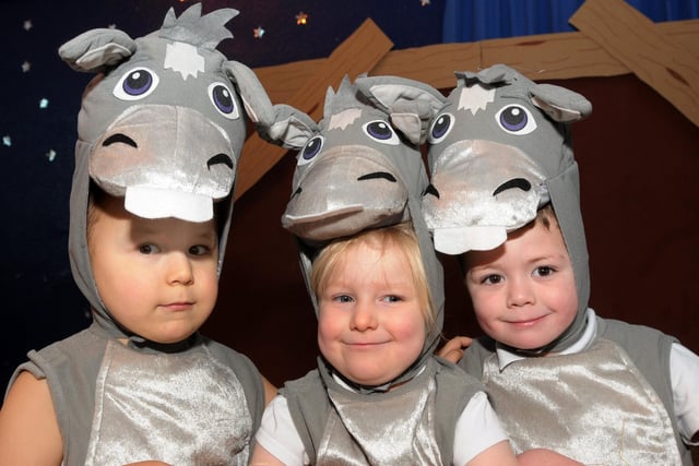 The Three Little donkeys at Ethel Wainwright school in Mansfield getting ready for their nativity in 2010 - from the left are Kevin Parker, Chloe Willis-Smith, Corey Blythe 







.