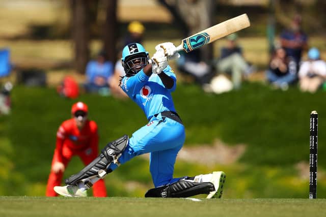 Stafanie Taylor pictured playing for the Adelaide Strikers.