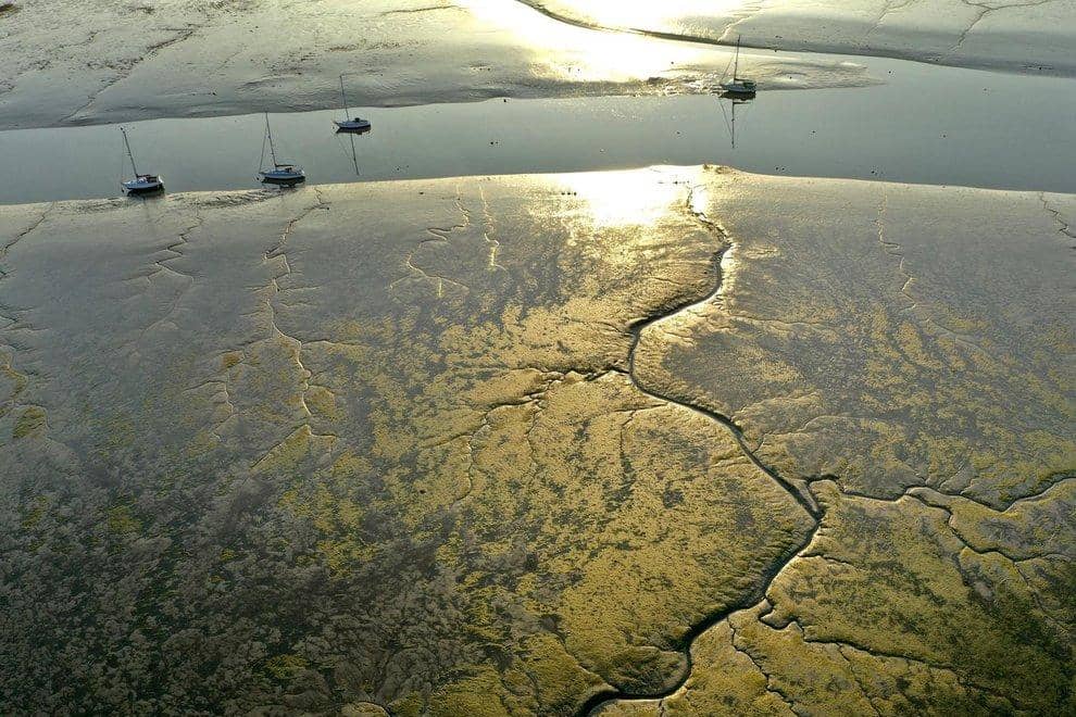 Solent mudflats. Picture: Mark Cox