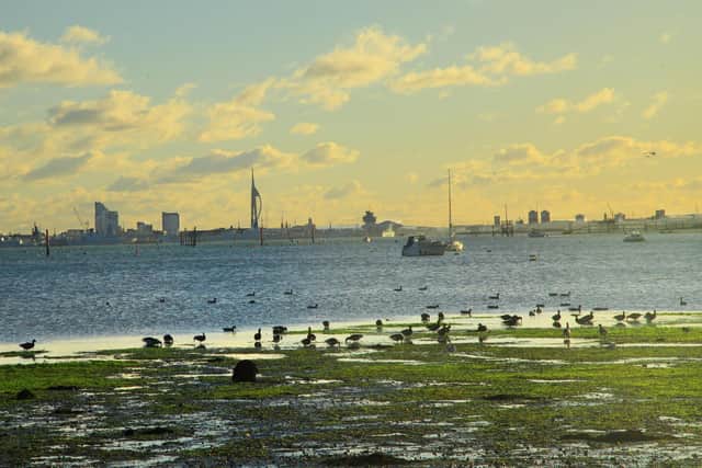 Port Solent by photographer Olly Clarke, from Emsworth