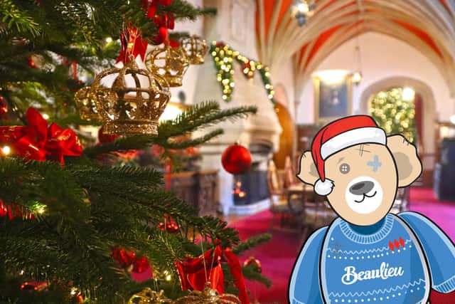 New Montagu Bear trail around the Beaulieu attraction this Christmas