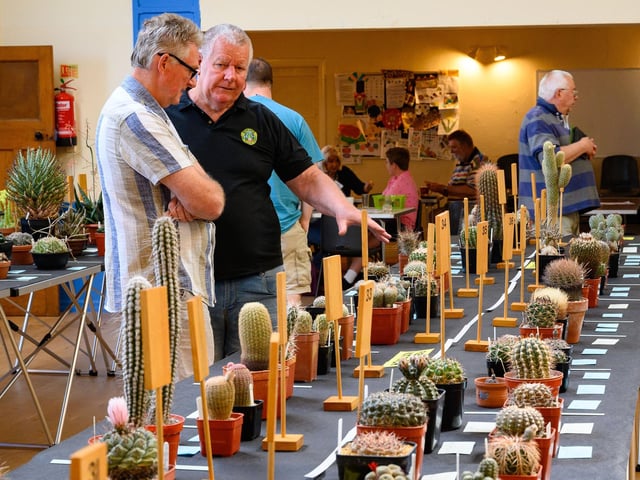 Pictured is: Gordon Arnold and Patrick Hickey, exhibitors at the show, examine other cacti
Picture: Keith Woodland (030621-11)