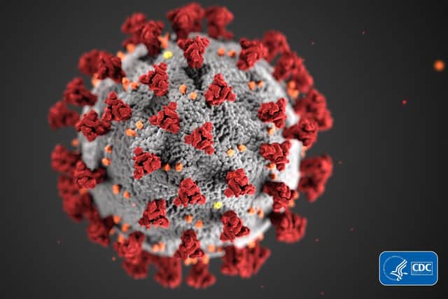 An illustration of the novel coronavirus created at the Centers for Disease Control and Prevention 
Picture: CDC/ Alissa Eckert, MS