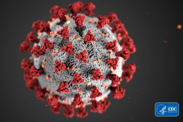 An illustration of the novel coronavirus created at the Centers for Disease Control and Prevention 
Picture: CDC/ Alissa Eckert, MS