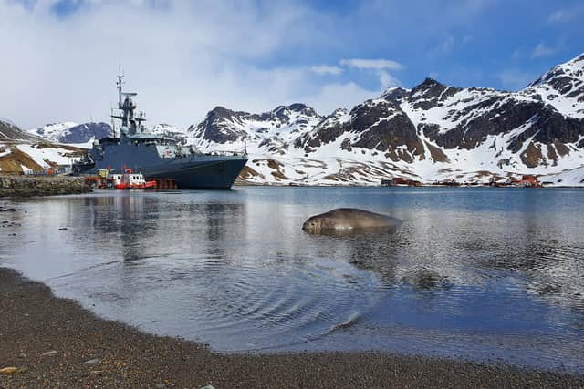 HMS Forth making its way past some of the wildlife in South Georgia. Photo: Royal Navy