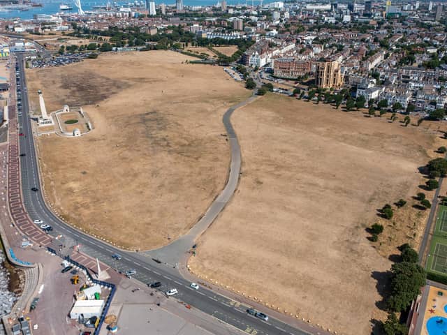 Marcin Jedrysiak captured footage of the dry grass spread across Southsea Common. Picture: Marcin Jedrysiak.