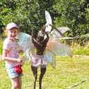 New Forest Folklore: Fairies, Witches and Dragon trail at Beaulieu.