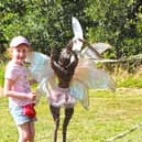 New Forest Folklore: Fairies, Witches and Dragon trail at Beaulieu.