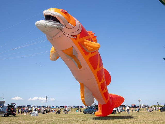 Pictured - Incredible kites on display at the Portsmouth Kite FestivalPhotos by Alex Shute