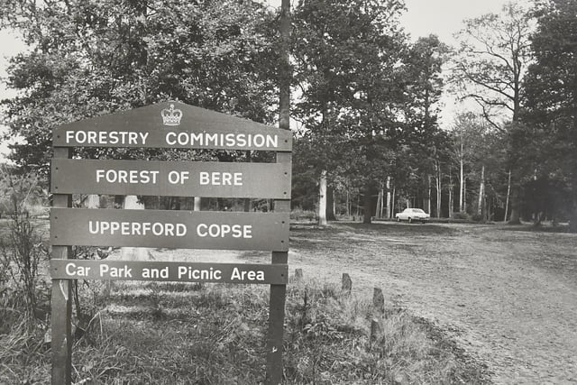 Forest of Bere - Upperford Copse, Winchester in 1974. Picture: (6190-1)