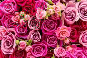 Valentine's Day is celebrated across the globe.