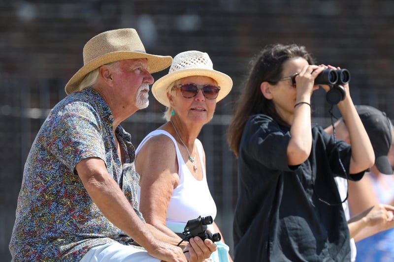Bother and sister, Tim Oakley and Melanie Phillips watch the returning Clipper fleet after their race around the world.Picture: Chris Moorhouse (270724-38)