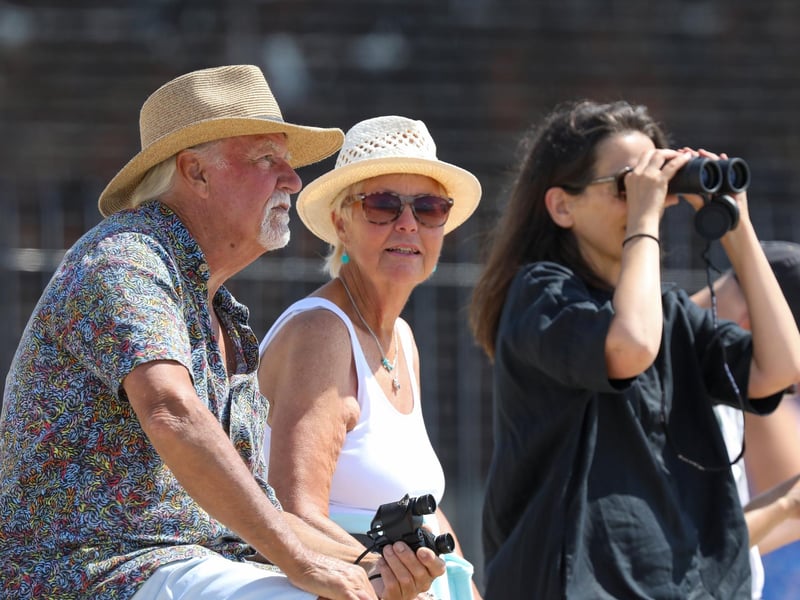 Bother and sister, Tim Oakley and Melanie Phillips watch the returning Clipper fleet after their race around the world.Picture: Chris  Moorhouse (270724-38)