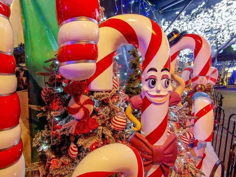 The popular Christmas Woodland Walk opened at Keydell Nurseries in Horndean on Friday, November 15.   Picture: Habibur Rahman