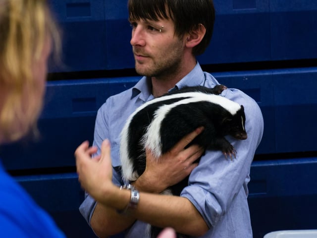Get to see some unusual animals at the Exotic display!