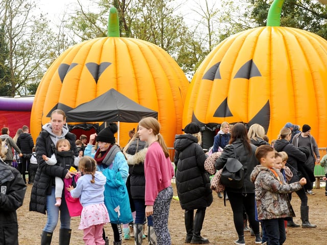 Rogate Pumpkin Patch has a number of attractions and games
Picture: Sarah Standing (251023-2200)