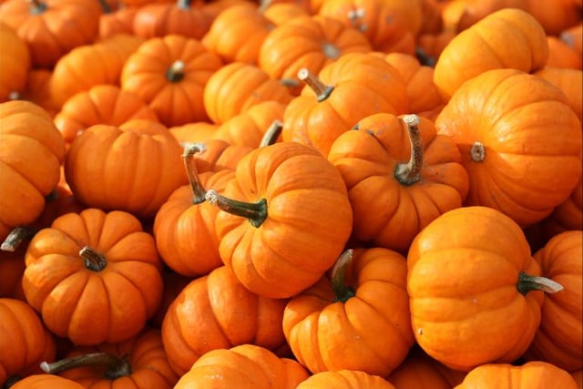 Typically associated with Halloween decorations, the pumpkin is best left outside for many people.