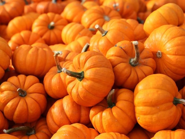 Typically associated with Halloween decorations, the pumpkin is best left outside for many people.