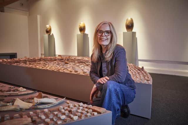 Unearthing, by artist Mary Branson (pictured), is currently on show at Gosport Museum and Art Gallery