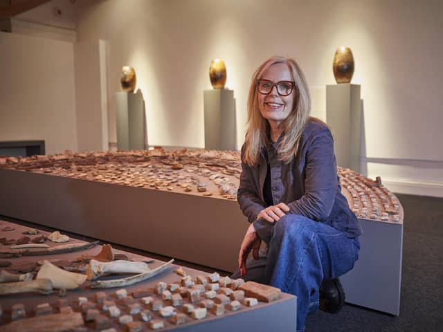 Unearthing, by artist Mary Branson (pictured), is currently on show at Gosport Museum and Art Gallery