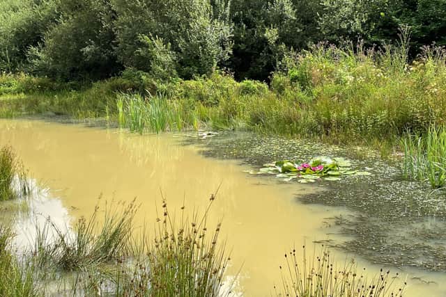 Berewood pond