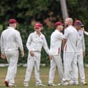 Portsmouth & Southsea celebrate taking a St Cross wicket during their SPL Division 2 home loss. Picture by Alex Shute