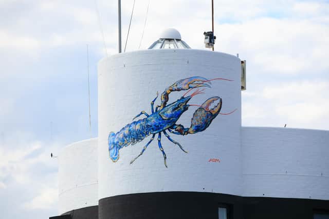 The giant lobster painted on  the River Hamble Harbour Master’s Office in Warsash was created by London-based street artist ATM. Picture: Siân Addison.