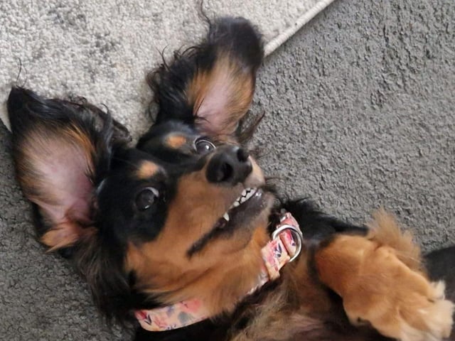How beautiful is this picture of Miss Dolly shared by Marles Bartholomew.