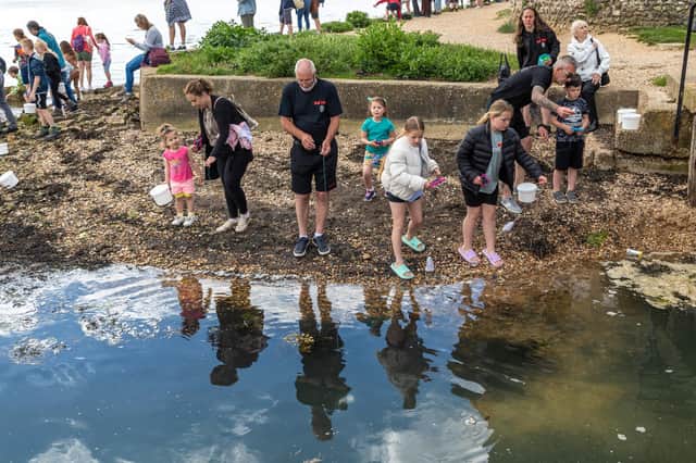 Catching crabs to be weighed and released on the shore alongside Portchester Castle. Picture: Mike Cooter (280522)
