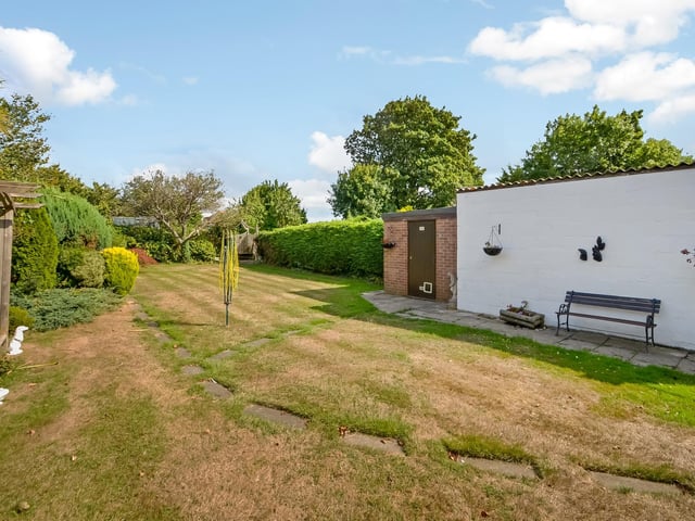 The back garden
