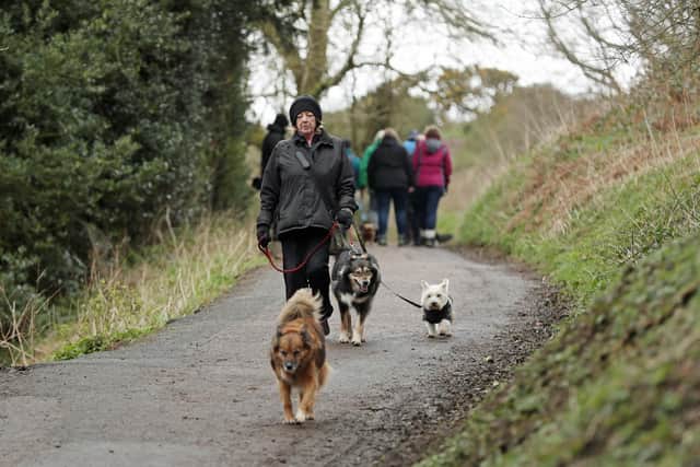 Dog walkers and their pets getting fresh air in the face of the coronavirus pandemic. Picture: David Davies/PA Wire