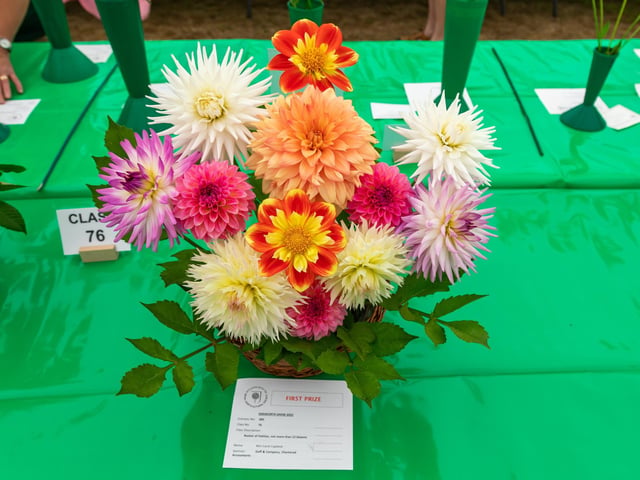 First Class blooms at The Emsworth Show