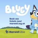 Bluey will be coming to Marwell Zoo for a visit.