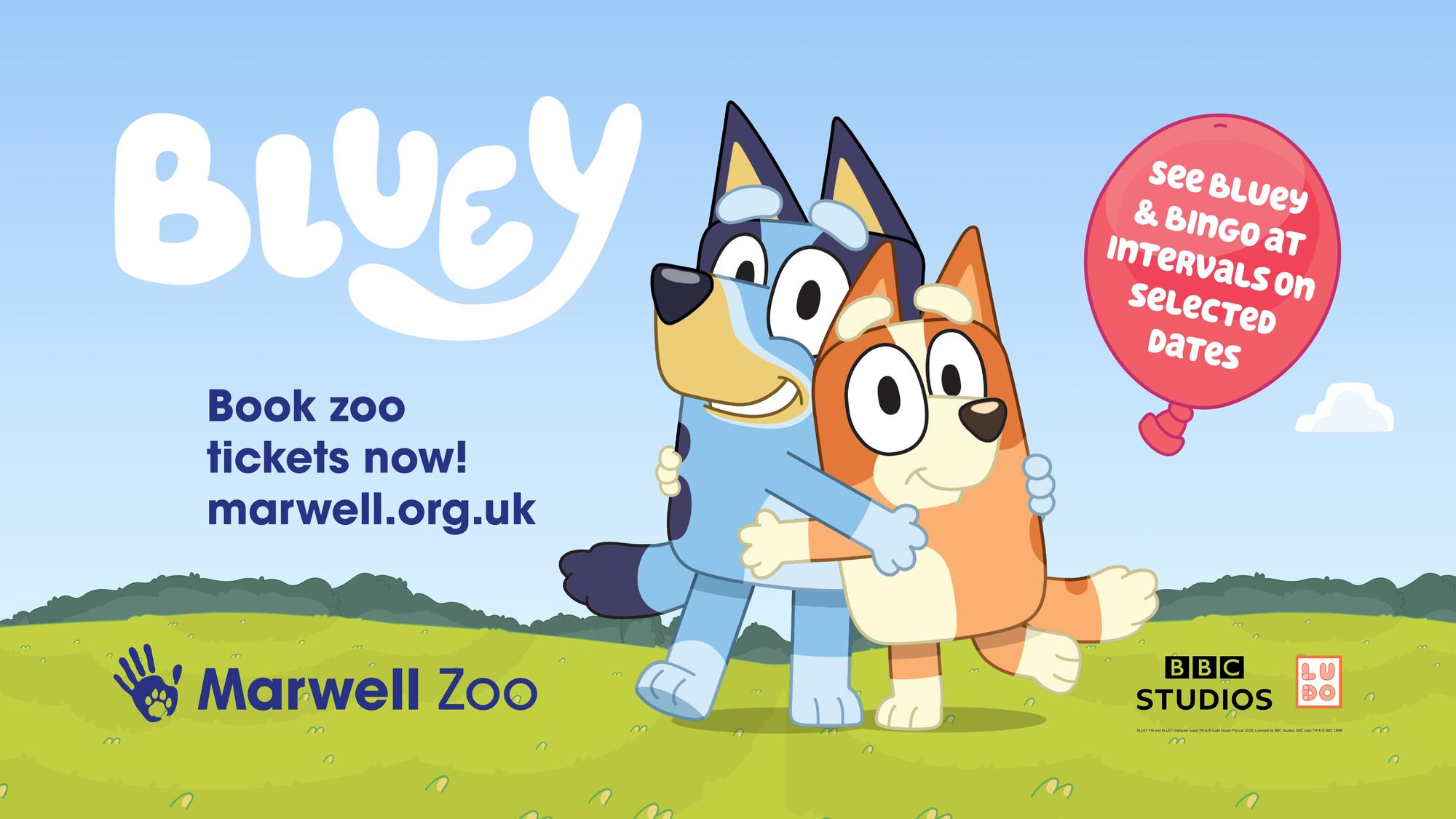 Marwell Zoo welcomes three CBeebies characters this summer including ...